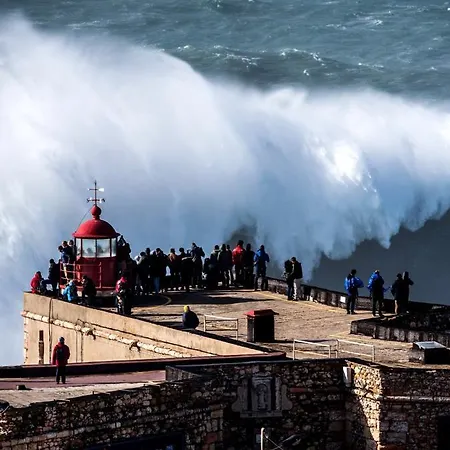 Appartement Rosa House